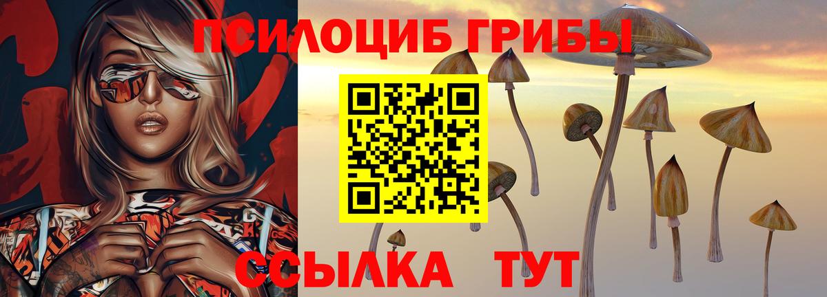 Бошки Шишки  Лсд 25  Димитровград  ГАШ  MDMA  ГАШ  COCAIN  Мефедрон кристаллы  А ПВП СК кристаллы  Вход с VPN 