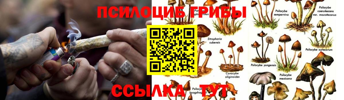 Димитровград  Галлюциногенные грибы ЛСД  Вход с VPN 